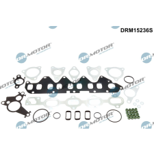 Dr.Motor tömítéskészlet, hengerfej DR. MOTOR DRM15236S autóalkatrész