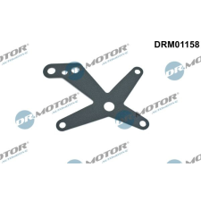 Dr.Motor tömítéskészlet, hidraulika-szivattyú DR. MOTOR DRM01158 autóalkatrész