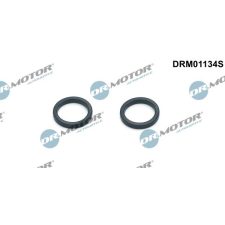 Dr.Motor tömítéskészlet, olajhűtő DR. MOTOR DRM01134S autóalkatrész