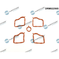 Dr.Motor tömítéskészlet, szelepfedél DR. MOTOR DRM02256S autóalkatrész