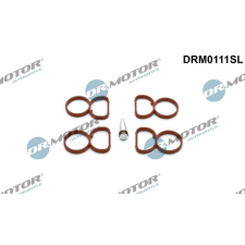 Dr.Motor tömítéskészlet, szívókönyök DR. MOTOR DRM0111SL autóalkatrész