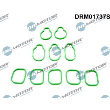 Dr.Motor tömítéskészlet, szívókönyök DR. MOTOR DRM01737S autóalkatrész