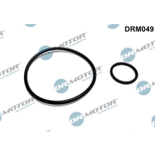 Dr.Motor Tömítéskészlet, vákuumszivattyú DR. MOTOR DRM049 autóalkatrész