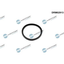 Dr.Motor Tömítőgyűrű, töltőlevegőcső DR. MOTOR DRM02913 autóalkatrész