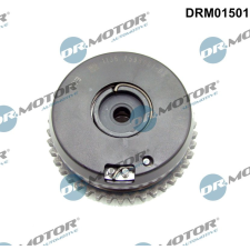 Dr.Motor vezérműtengely-állító DR. MOTOR DRM01501 autóalkatrész