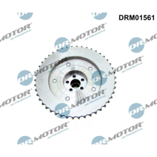 Dr.Motor vezérműtengely-állító DR. MOTOR DRM01561 autóalkatrész
