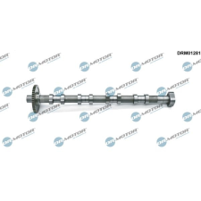Dr.Motor vezérműtengely DR. MOTOR DRM01281 autóalkatrész
