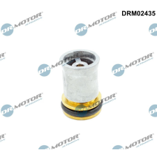 Dr.Motor visszacsapó szelep DR. MOTOR DRM02435 autóalkatrész