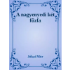 Dr. Tóth András János (magánkiadás) A nagyenyedi két fűzfa