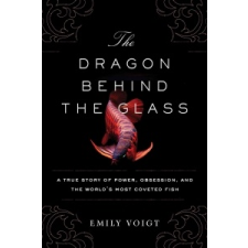 Dragon Behind the Glass – Emily Voigt idegen nyelvű könyv