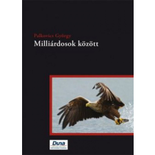 Duna International Könyvkiadó Milliárdosok között regény