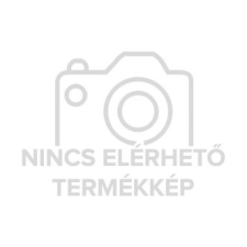 Dunlop All Season 2 XL ( 205/50 R17 93W ) négyévszakos gumiabroncs