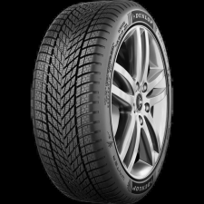Dunlop winter 235/45 R18 98V XL M+S 3PMSF MFS EVR téli gumiabroncs