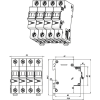 EATON EATON 279009 FAZ-K6/3N Kismegszakító, 15kA 3-pól.+null