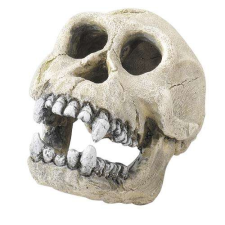 EBI Decor CHIMPANZEE 16cm akvárium dekoráció