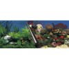  Ebi Photo Decor Stone+coral 80 X 40Cm akvárium háttér két oldalas (59108857)