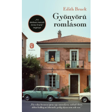 Edith Bruck Bruck Edith - Gyönyörű romlásom regény