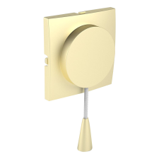  Efapel 90741_TDU Fedlap húzókapcsolóhoz arany villanyszerelés