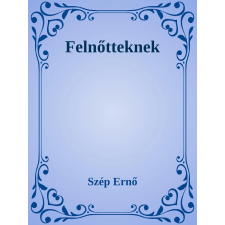 Efficenter Kft. Felnőtteknek szépirodalom
