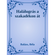 Efficenter Kft. Halálugrás a szakadékon át szépirodalom