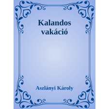 Efficenter Kft. Kalandos vakáció szépirodalom