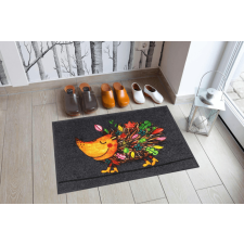 Efia GmbH Funky Hedgy 050x075 cm szennyfogó lábtörlő lakástextília