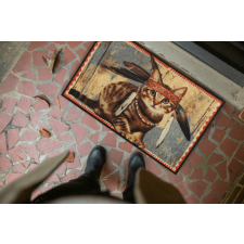 Efia GmbH Lakota 050x075 cm szennyfogó lábtörlő lakástextília