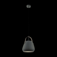 EGLO Eglo Bednall 98349 függeszték, 1x60W E27 világítás