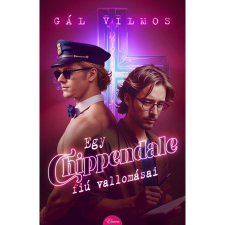 Egy Chippendale-fiú vallomásai regény
