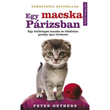 Egy macska Párizsban - Egy különleges macska és tökéletlen gazdija igaz története regény