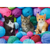 EGYÉB GYÁRTÓ Castorland Puzzle Kittens In Yarn Store 300 - 300db-os puzzle, Többszínű