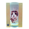 EGYÉB KÜLFÖLDI Üditős pohár, Norvég macska (EGYEB_KULFOLDI_04330)