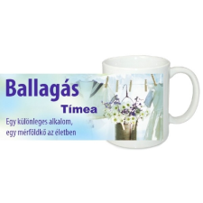 Egyedi bögre Ballagásra, Évzáróra 3 tányér és evőeszköz