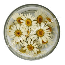  Ehető virág százszorszép imp. 15 db sütés és főzés