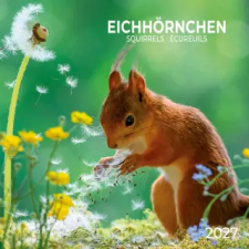  Eichhörnchen / Squirrels 2027 (Naptár/Határidőnapló) naptár, kalendárium