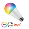 Eko-Light Smart WIFI okos LED izzó E27 8W 900lmA60 RGBW EKSM6659