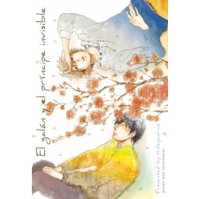  EL GALÁN Y EL PRÍNCIPE INVISIBLE – HIDEYOSHICO idegen nyelvű könyv