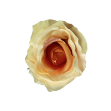  Élethű selyem nyílott rózsafej sötét barack 8 cm dekoráció