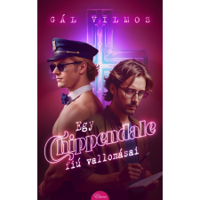 Eleven Kiadó Egy Chippendale-fiú vallomásai regény