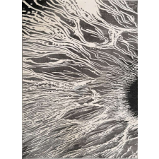 Elite Ber Elite Modern Szőnyeg - Szürke - 240x330 cm lakástextília