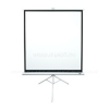 Elitescreen s 113" (1:1) mobil háromlábú vászon T113NWS1 (203 x 203 cm, Fehér) (T113NWS1)