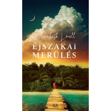 Elizabeth Lowell LOWELL, ELIZABETH - ÉJSZAKAI MERÜLÉS szépirodalom