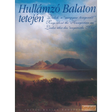 EMB Hullámzó Balaton tetején művészet
