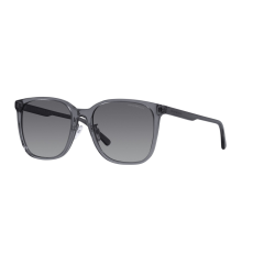 Emporio Armani EA4206D 5029T3 Shiny Transparent Grey Polar Grey Gradient napszemüveg