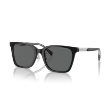 Emporio Armani EA4226D 501787 SHINY BLACK DARK GREY napszemüveg