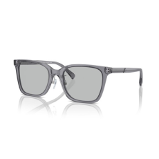 Emporio Armani EA4226D 502987 SHINY TRANSPARENT GREY LIGHT GREY napszemüveg