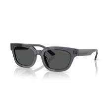 Emporio Armani EA4233U 610687 TRANSPARENT GREY DARK GREY napszemüveg napszemüveg