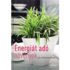 Energiát adó növények az otthonunkban hobbi, szabadidő
