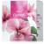 ENERGY Flavocel 150 tabletta
