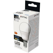  ENTAC IZZÓ LED MINI GLOBE 6,5W CW E14 6400K 1DB izzó